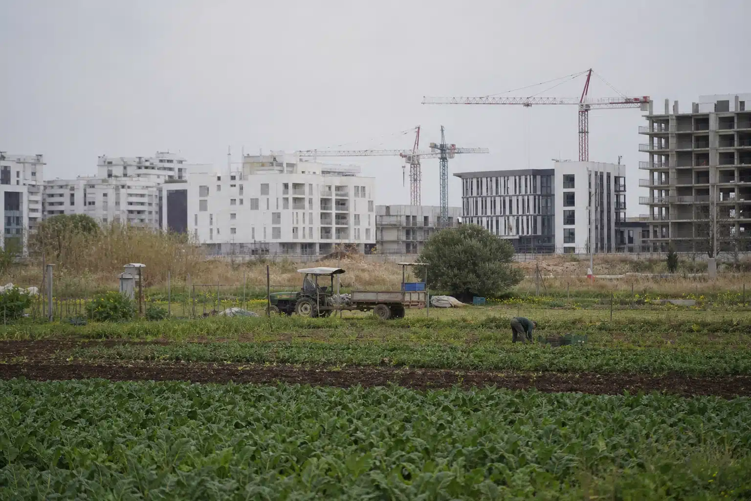 Bâtiments neufs en construction derrière un champ cultivé